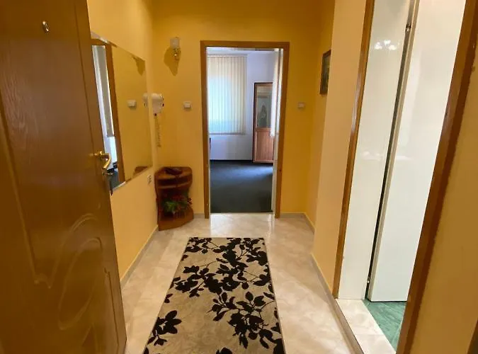 Tedi Асеновград